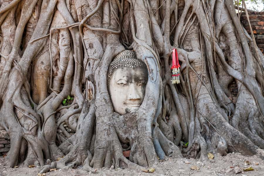 From Bangkok: Ayutthaya Private Full-Day UNESCO Trip - Key Things You Should Notice Before You Go