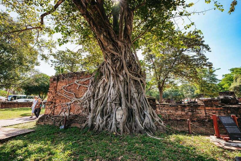 From Bangkok: Ayutthaya Temples Guided Tour with Lunch - Wat Lokaya Sutha: The Reclining Buddha That Actually Survived