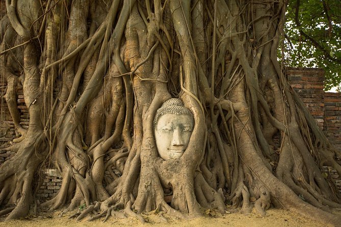 From Bangkok: Ayutthaya Temples Small Group Tour with Lunch - Wat Mahathat and the Buddha head in tree roots