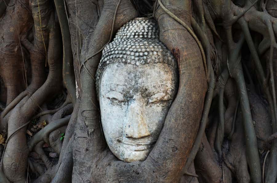 From Bangkok: Bang Pa-In Palace & Ayutthaya Private Trip - Lunch and Street Food Time: Thai Boat Noodles Plus a Break