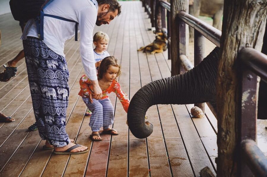 From Bangkok: ElephantsWorld Kanchanaburi 2-Day Experience - River bath and scrub time, a hands-on look at care