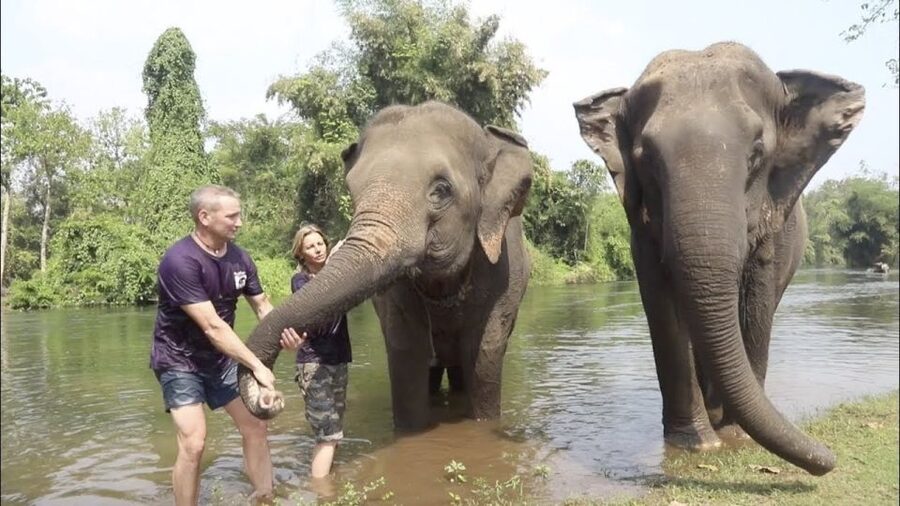 From Bangkok: ElephantsWorld Kanchanaburi 2-Day Experience - Dinner and overnight in a Thai-style cottage by the river