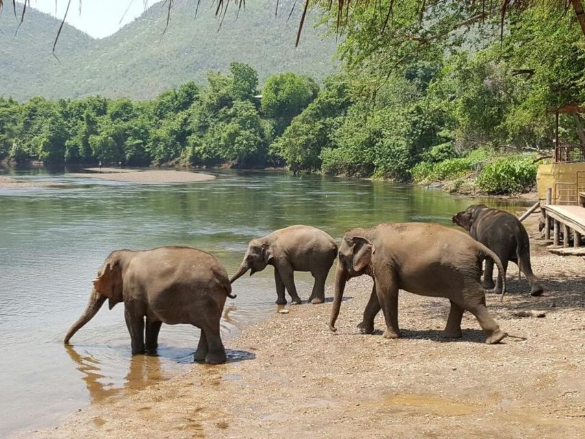 From Bangkok: ElephantsWorld Kanchanaburi 2-Day Experience - Entering ElephantsWorld, hands-on rules and what to expect