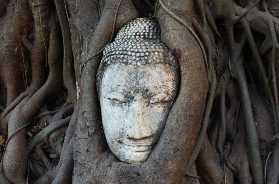 From Bangkok: Floating Market & Ayutthaya Private Day Trip - Long-tail boat on the canal: the quiet break before the crowds