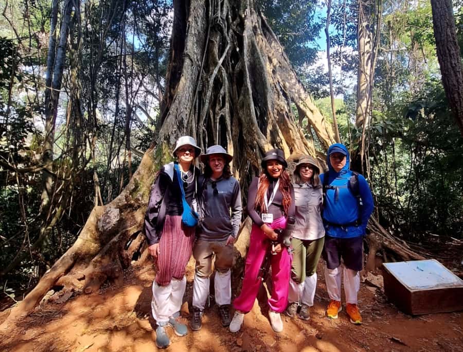 From Bangkok: Khao Yai National Park Jungle Trek with Lunch - Km 33 Nong Phak Chi Nature Trail: where the trek does the work