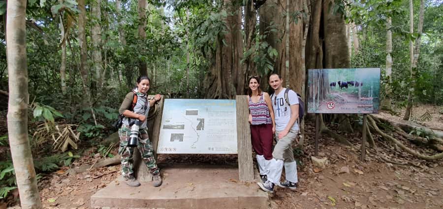 From Bangkok: Khao Yai National Park Jungle Trek with Lunch - Haew Su Wat Waterfall: the movie-famous spot with rules
