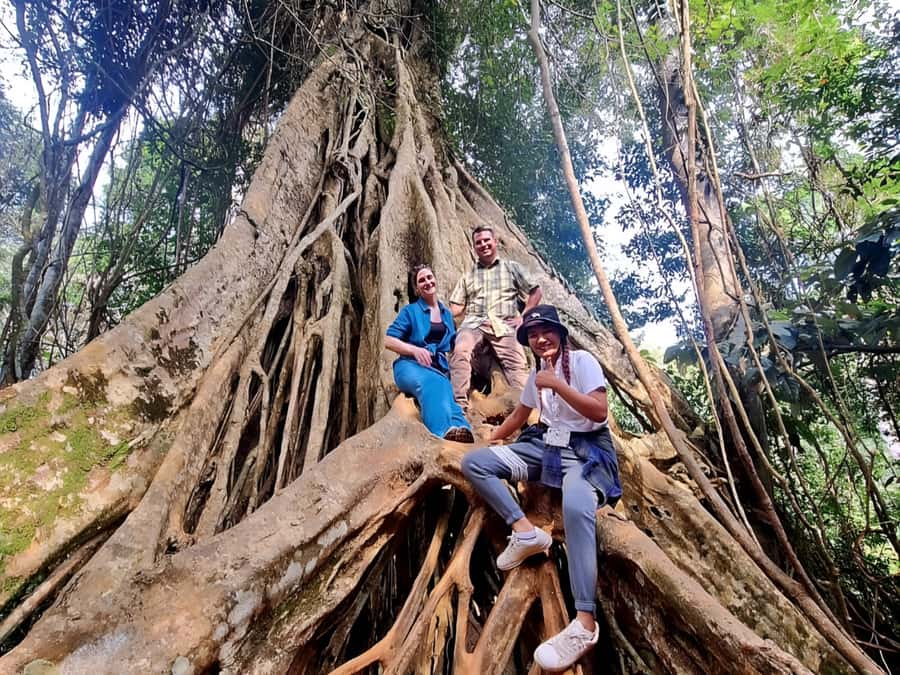 From Bangkok: Khao Yai National Park Jungle Trek with Lunch - Lam Ta Khong Campground: a scenic pause on the way home