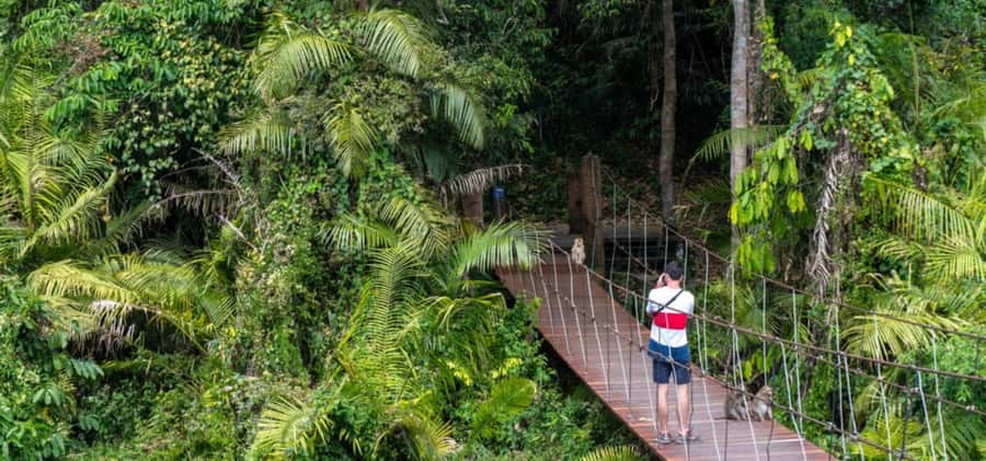 From Bangkok: Khao Yai Private Charter with Multiple Options - How this 10-hour charter day works from Bangkok