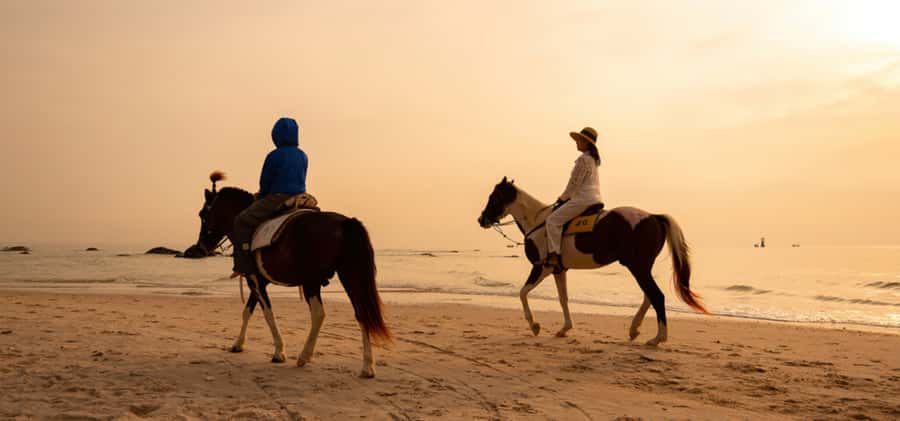 From Bangkok or Hua Hin: Hua Hin Tour with Private Charter - What the Driver and Language Setup Means for Your Experience