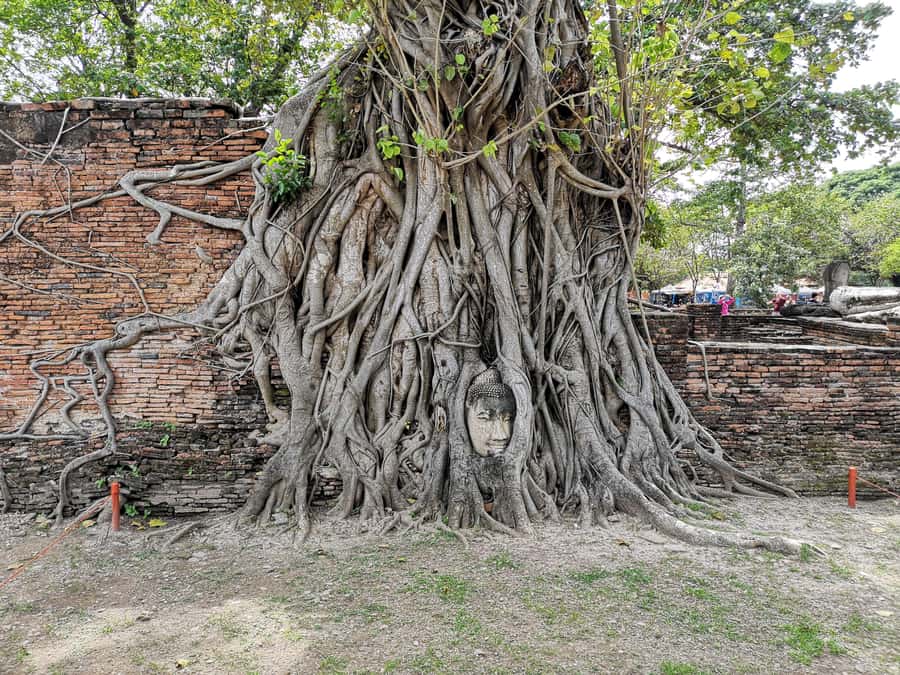 From Bangkok: Private Tour to Ayutthaya & Summer Palace - Hotel pickup to Ayutthaya: private van comfort, simple flow