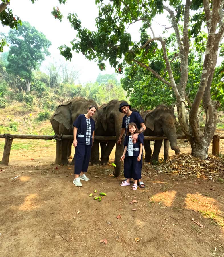 From Chiang Mai: Chiang Mai Elephant Care Morning Program - Home-cooked lunch, then back to Chiang Mai with your morning intact