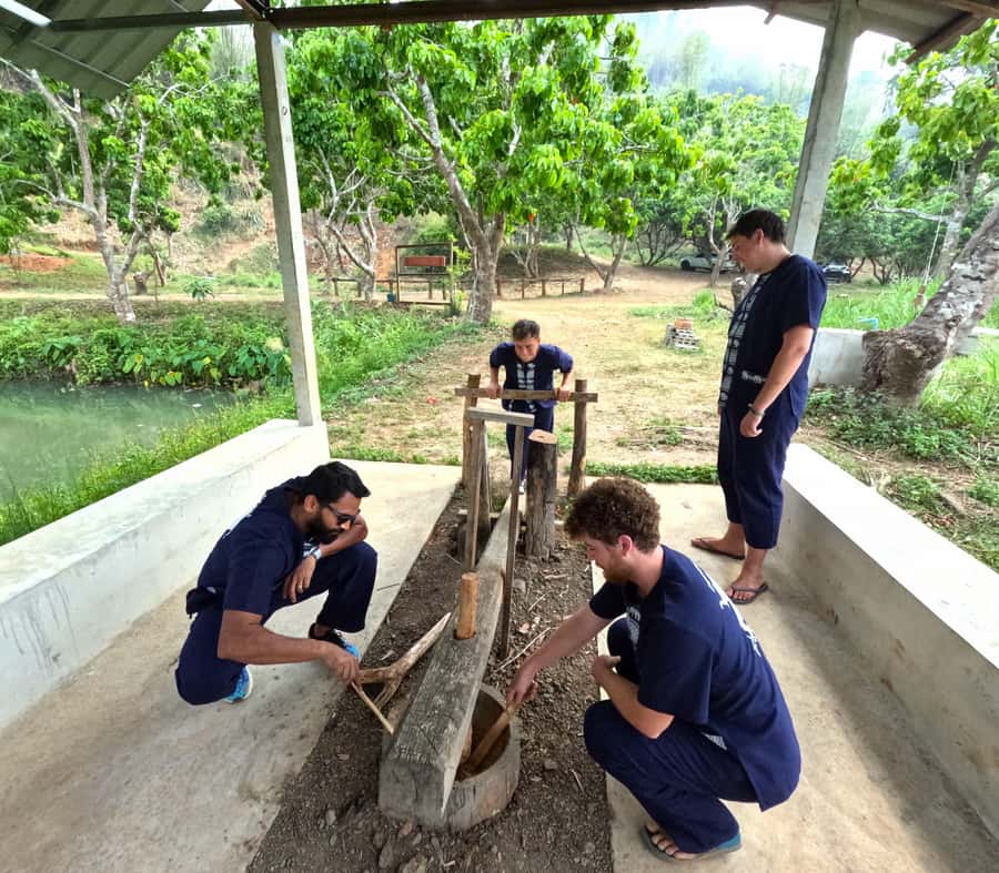 From Chiang Mai: Chiang Mai Elephant Care Morning Program - Should you book this Chiang Mai Elephant Care Morning Program?