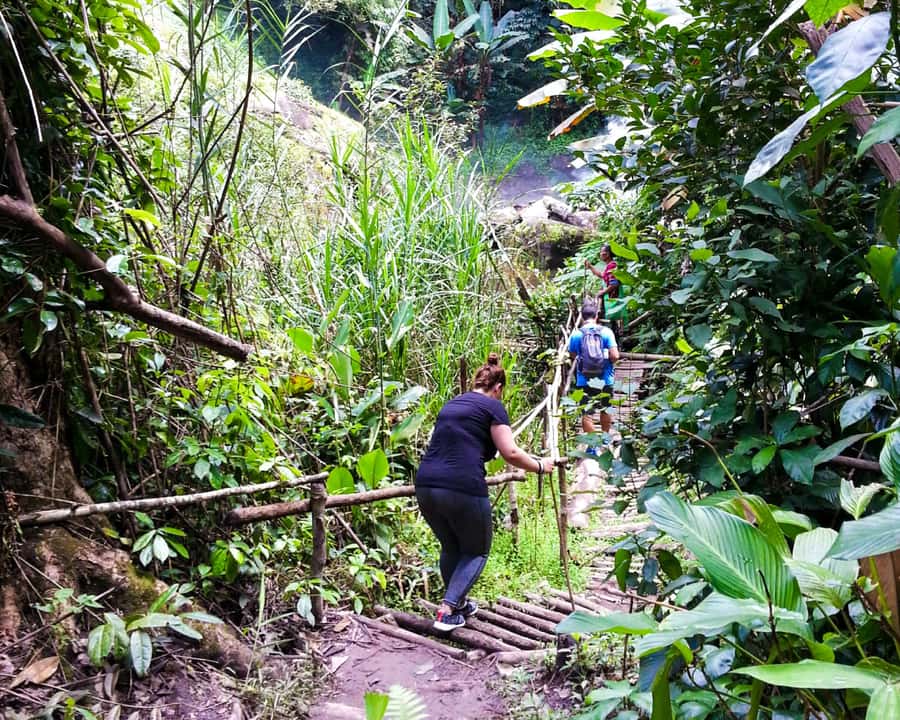 From Chiang Mai: Doi Inthanon National Park Day Trip & Hike - Karen Hill Tribe Village and coffee: the day’s most human ending
