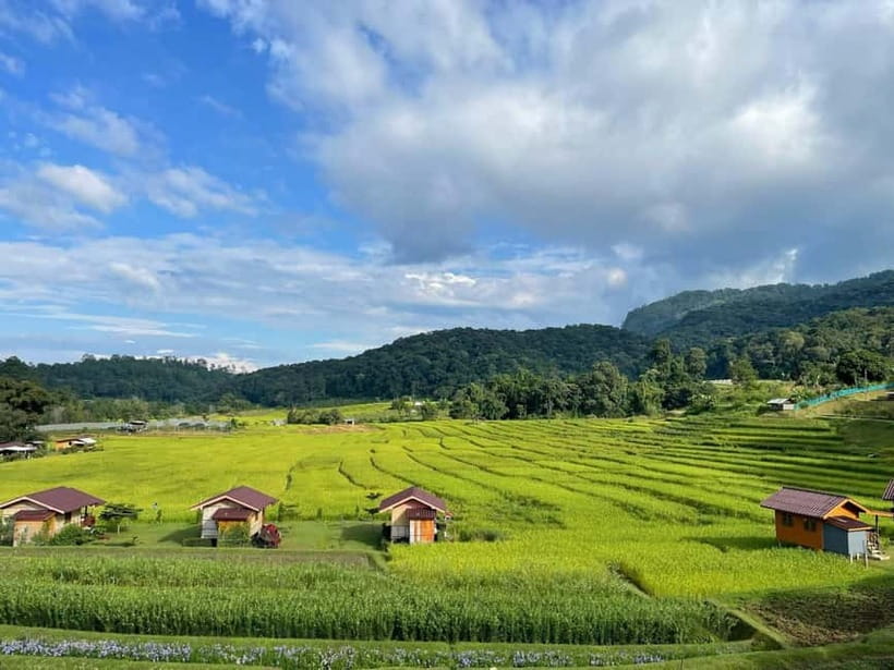 From Chiang Mai: Doi Inthanon National Park Day Trip - Price and value: is $61 a fair deal?