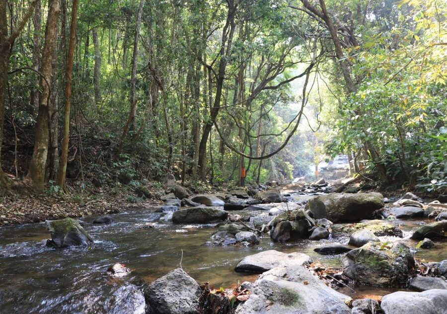From Chiang Mai: Doi Inthanon National Park Hiking Tour - Key highlights at a glance