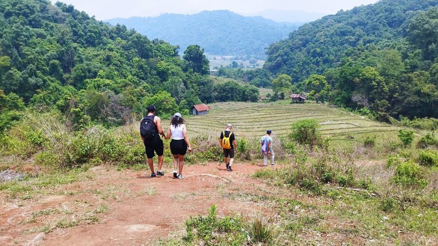 From Chiang Mai: Doi Inthanon National Park Hiking Tour - The summit stop: Thailand’s highest viewpoint and a big temperature shift