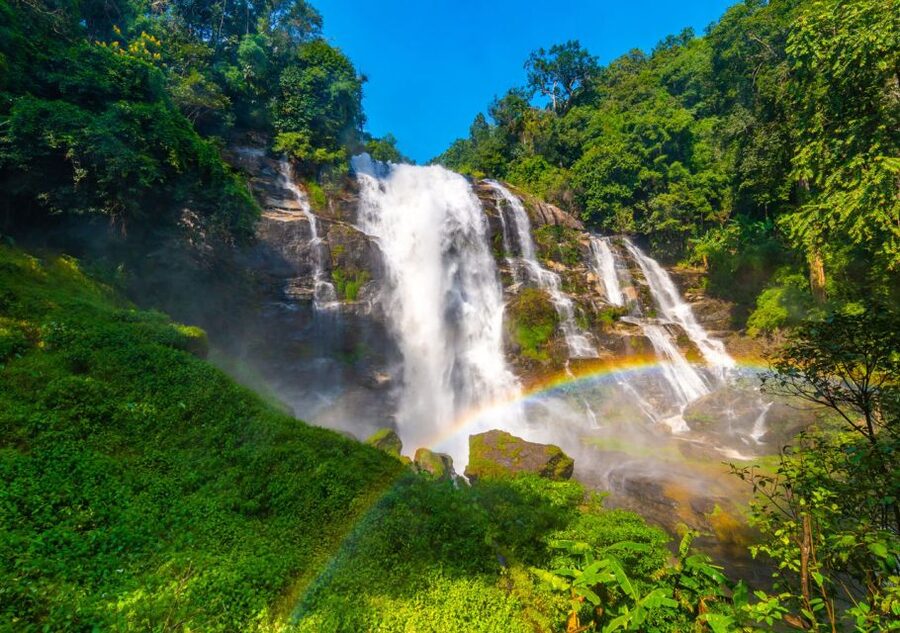 From Chiang Mai: Doi Inthanon National Park Hiking Tour - The main hiking day: 4 km through forest, restoration areas, and farmland