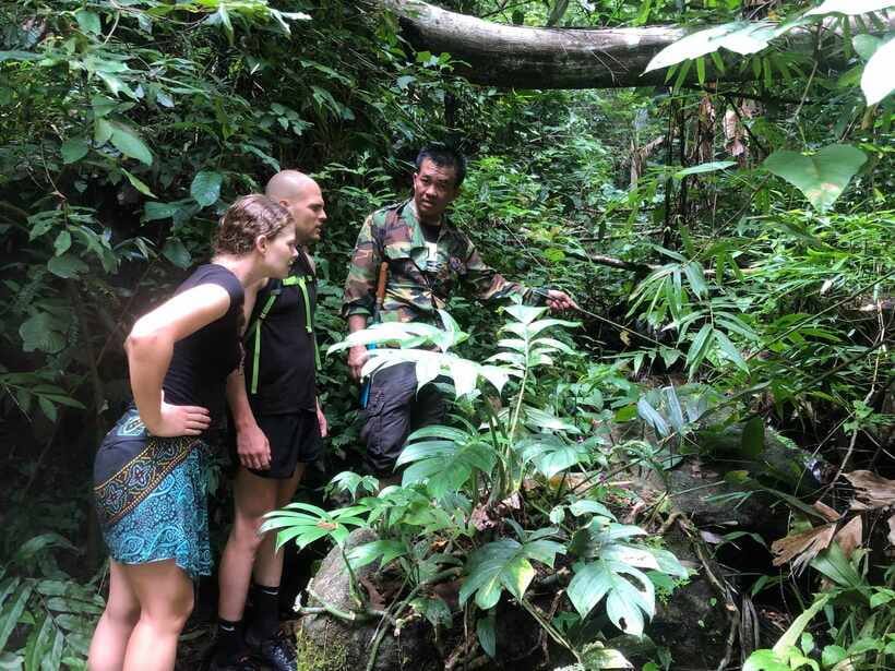 From Chiang Mai: Doi Saket Hiking Tour with Lunch - Key things to know before you go