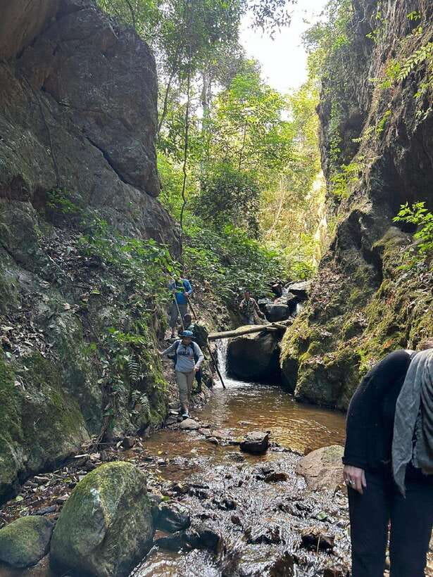 From Chiang Mai: Doi Saket Hiking Tour with Lunch - Gear checklist, heat, and common mistakes
