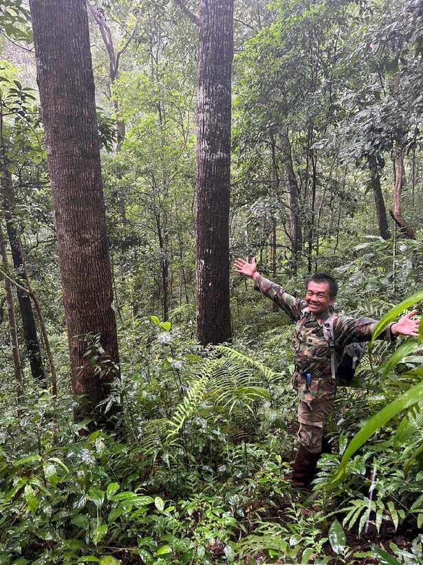 From Chiang Mai: Doi Saket Hiking Tour with Lunch - How the 5 hours in the jungle actually feels
