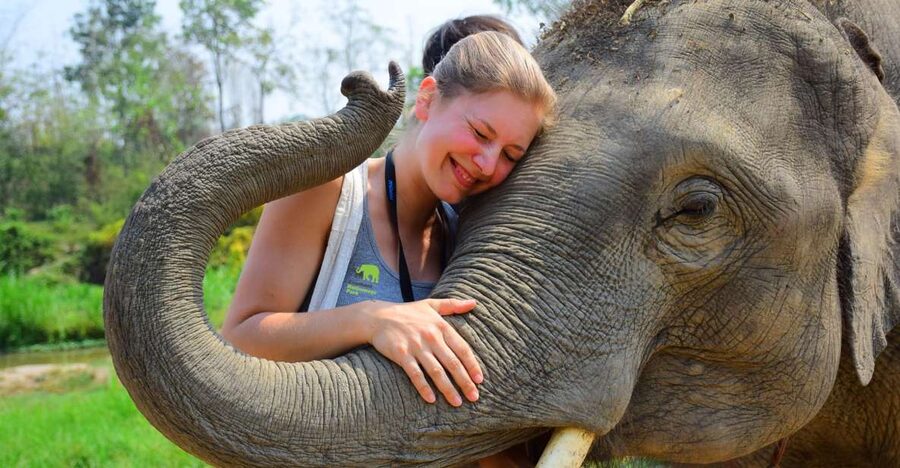 From Chiang Mai: Elephant Care Program and Nursery Tour - Morning Pickup to Mae Tang: the calm start that sets the tone