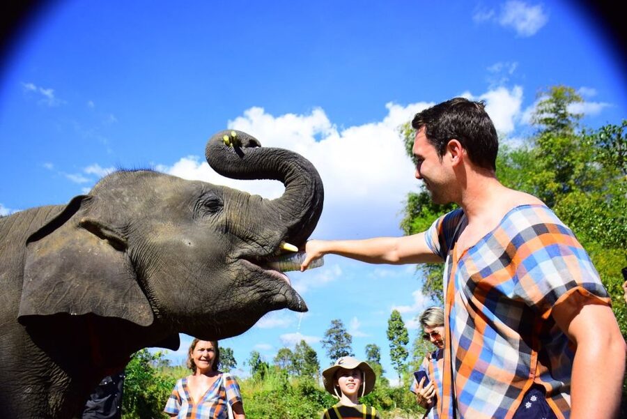 From Chiang Mai: Elephant Care Program and Nursery Tour - Getting into the routine: local clothes, specialists, and elephant behavior