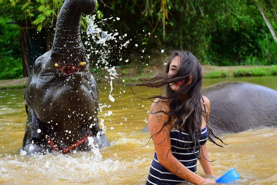 From Chiang Mai: Elephant Care Program and Nursery Tour - Photography on site: nice memories, optional purchases