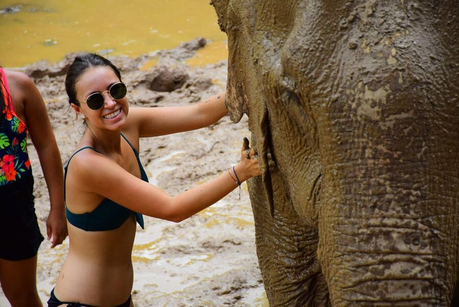 From Chiang Mai: Elephant Care Program and Nursery Tour - The one possible drawback to plan around
