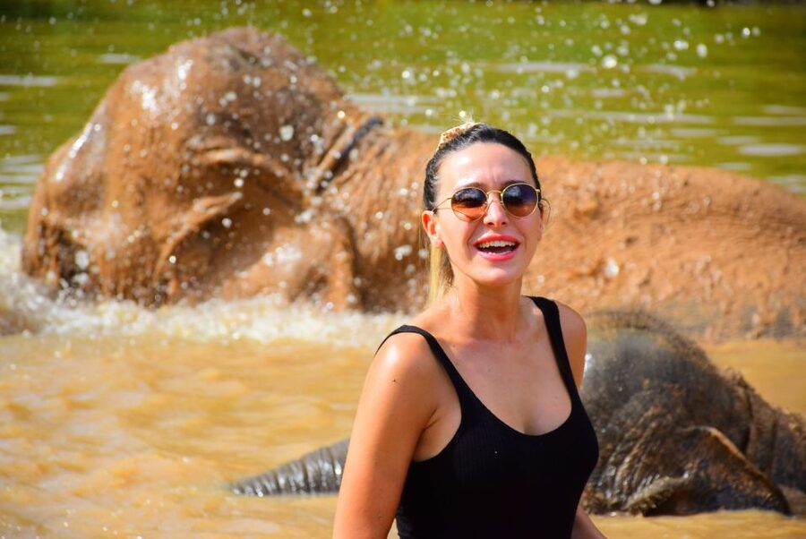 From Chiang Mai: Elephant Care Program and Nursery Tour - Who should book this elephant sanctuary day?