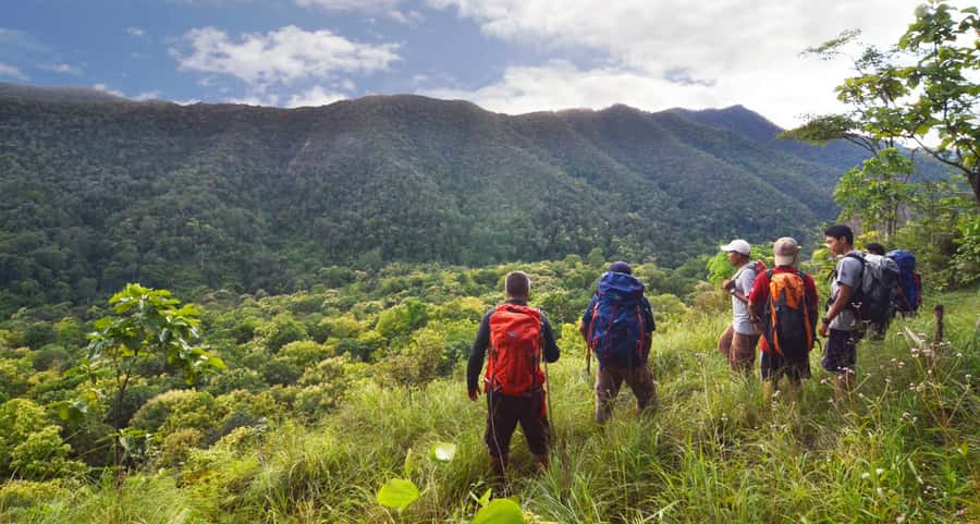 From Chiang Mai: High Mountain Day Trek - Key takeaways before you go