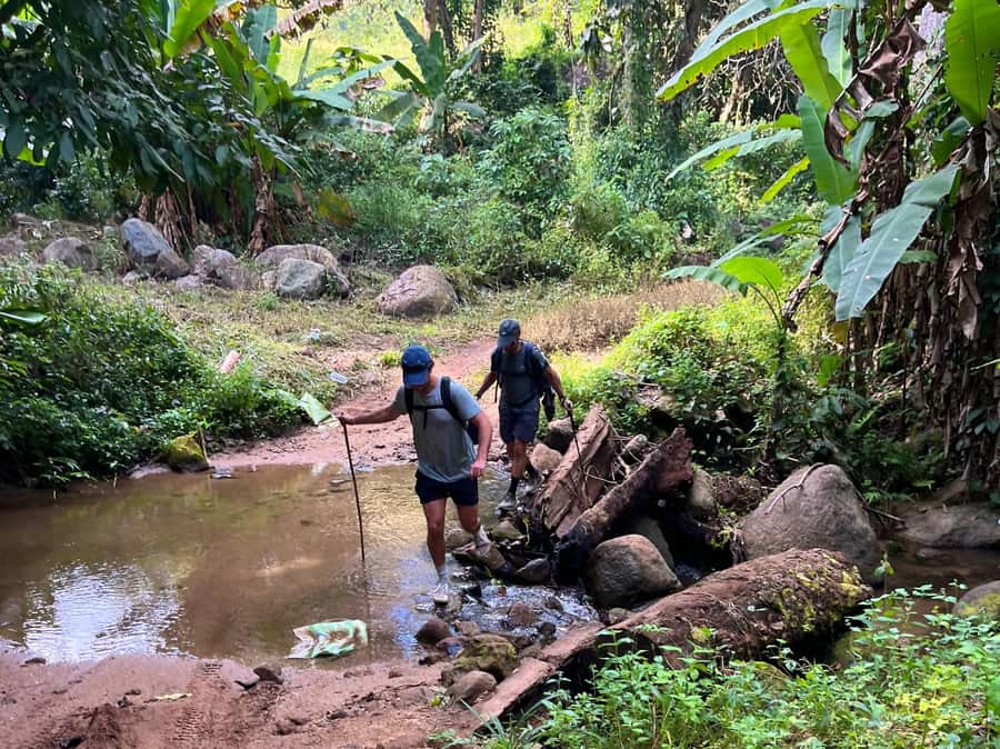 From Chiang Mai: High Mountain Day Trek - From Chiang Mai pickup to the mountain trail start