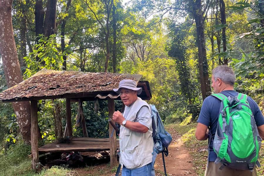 From Chiang Mai: High Mountain Day Trek - The jungle hike: distance, pace, and slipperiness to plan for