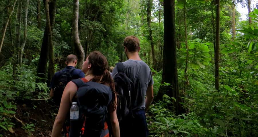 From Chiang Mai: High Mountain Day Trek - Wat Ban Den temple and the cultural reset before heading back