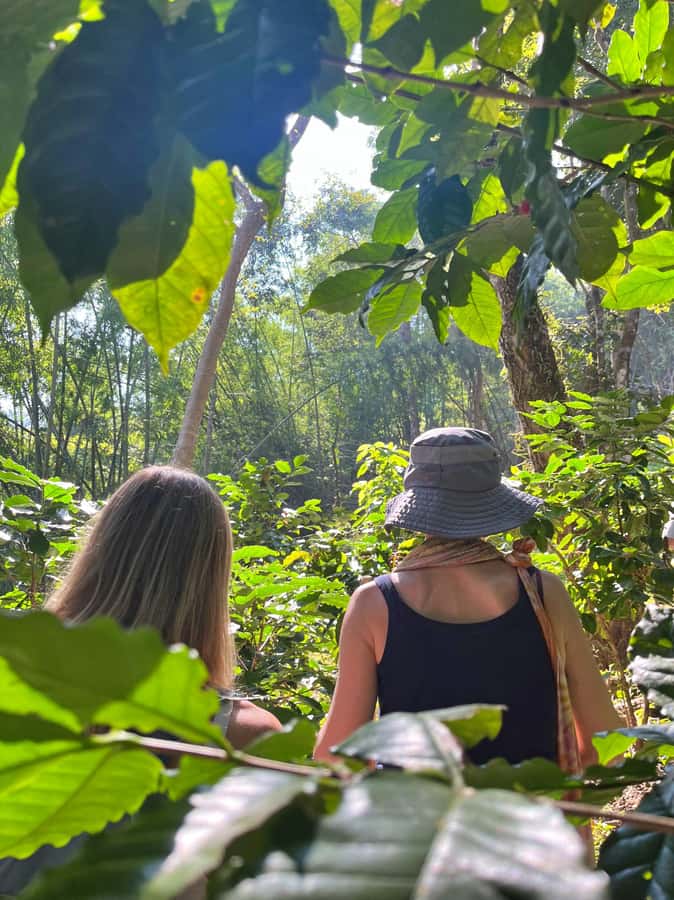 From Chiang Mai: High Mountain Day Trek - What to pack so the day stays fun, not miserable