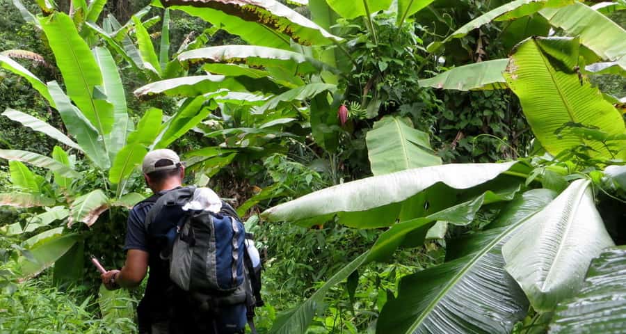 From Chiang Mai: High Mountain Day Trek - Who should book this trek (and who should skip it)
