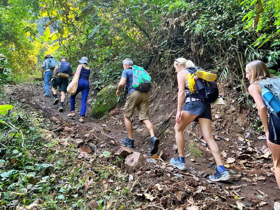 From Chiang Mai: High Mountain Day Trek - Meeting your guide in the forest, and why names matter