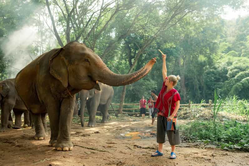 From Chiang Mai: Kerchor Eco Elephant Park Tour - The Drive Out of Chiang Mai: Smooth Enough, Long Enough