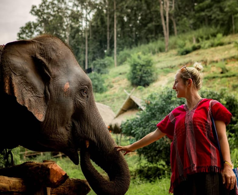 From Chiang Mai: Kerchor Eco Elephant Park Tour - Kerchor Eco Elephant Park Orientation: The Care Story Comes First