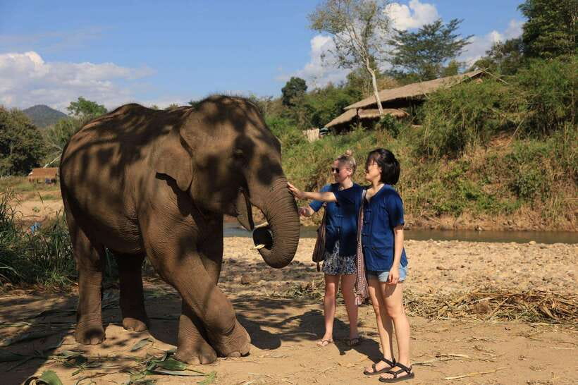From Chiang Mai: Living Green Elephant Sanctuary Tour - The River Bathing Moment, Wet Clothes, and Cold Weather Reality