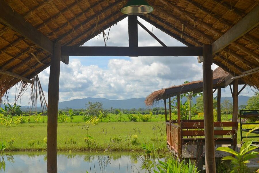 From Chiang Mai: Mae Taeng Valley and Waterfalls Cycle Tour - Key moments that make this ride worth your time
