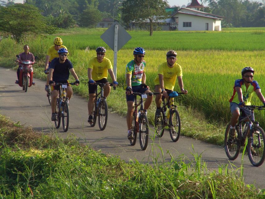 From Chiang Mai: Mae Taeng Valley and Waterfalls Cycle Tour - Learning rice farming the practical way, not in a classroom