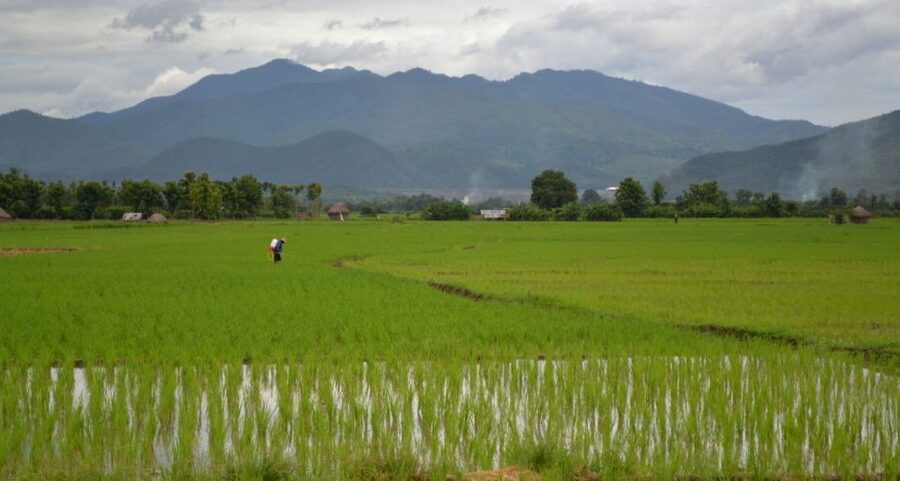 From Chiang Mai: Mae Taeng Valley and Waterfalls Cycle Tour - Lunch in a tropical garden: the reset you’ll feel later