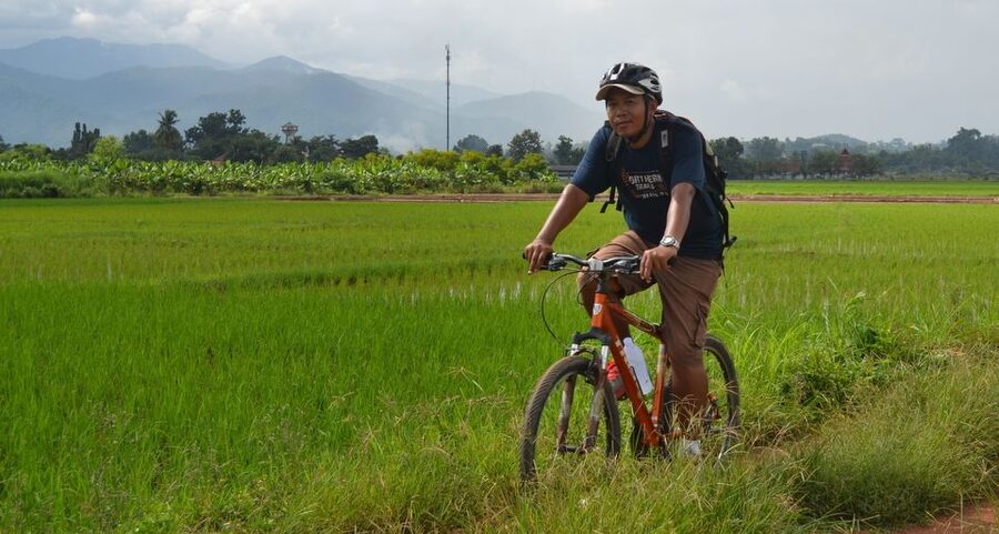 From Chiang Mai: Mae Taeng Valley and Waterfalls Cycle Tour - Price and what $73 really buys you