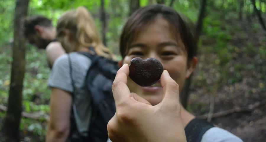 From Chiang Mai: Mae Taeng Valley Hike & Bike Day Trip - Key points that make this day trip work