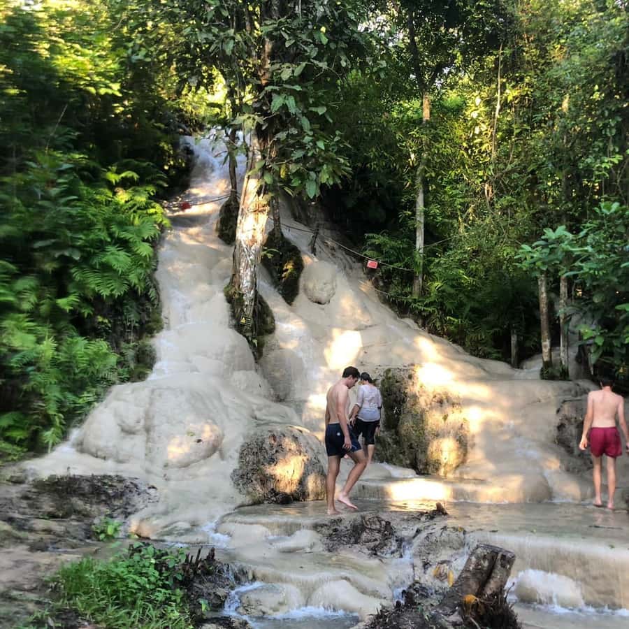 From Chiang Mai: Temples, Sticky Waterfall, and Orchid Farm - Key highlights to look forward to