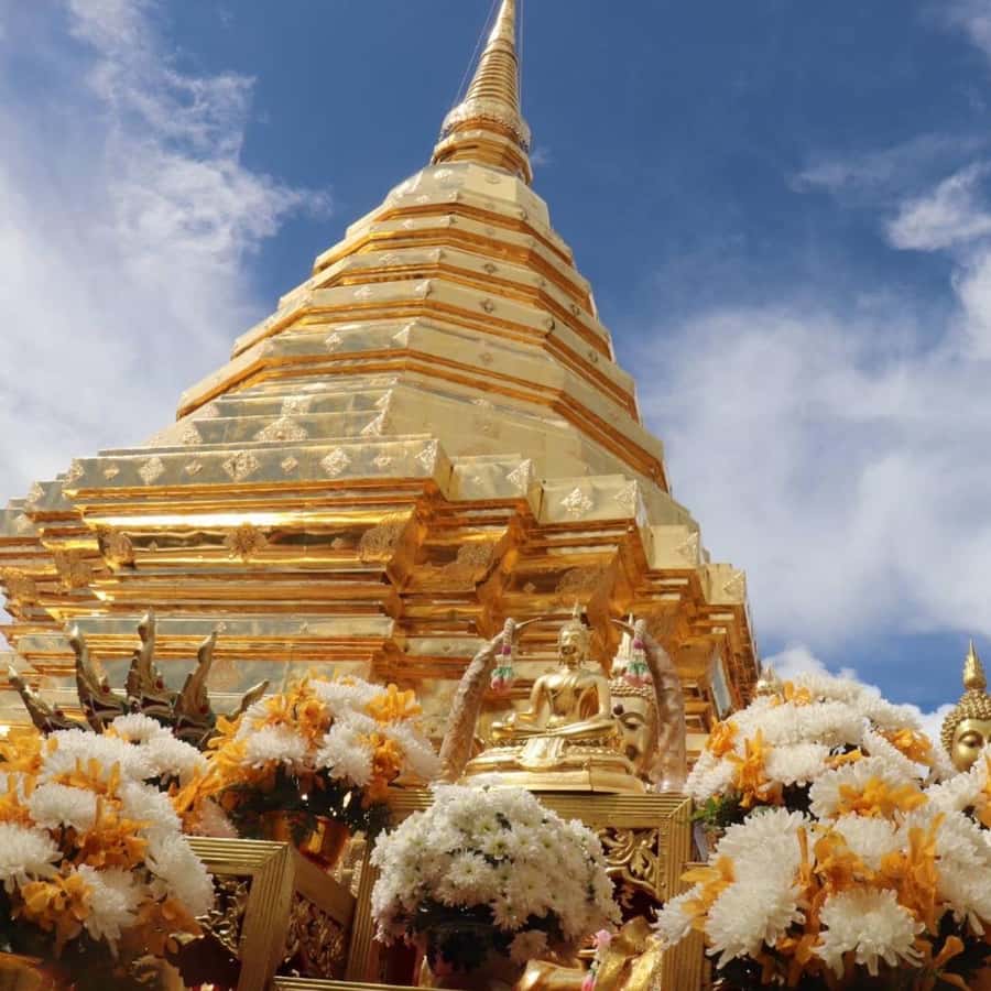 From Chiang Mai: Temples, Sticky Waterfall, and Orchid Farm - How the day flows from your Chiang Mai hotel