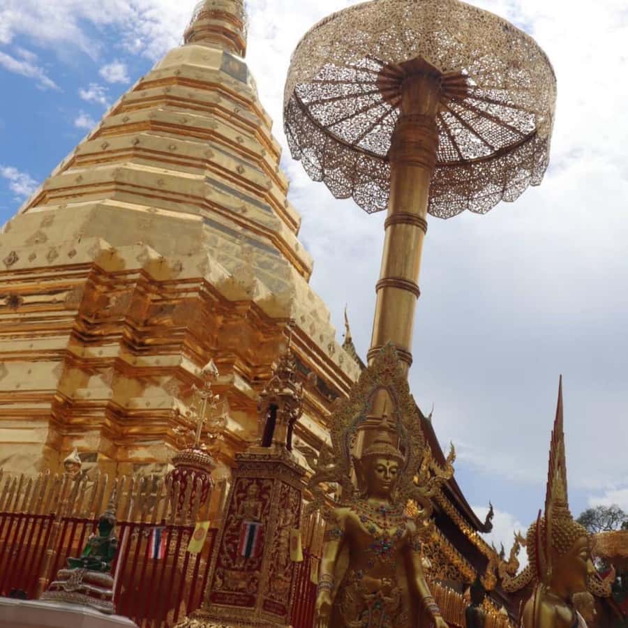 From Chiang Mai: Temples, Sticky Waterfall, and Orchid Farm - What to pack so the day feels easy, not annoying