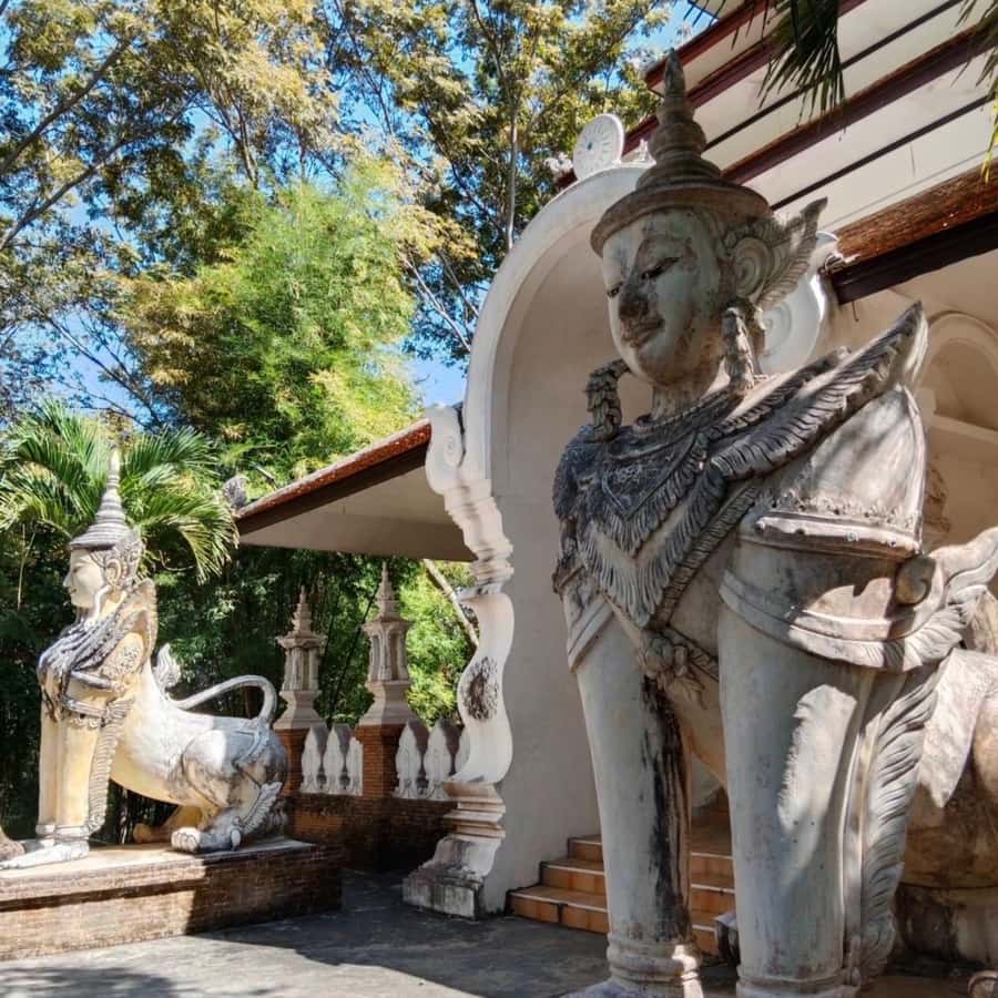 From Chiang Mai: Temples, Sticky Waterfall, and Orchid Farm - Who should book this Chiang Mai loop, and who might skip it