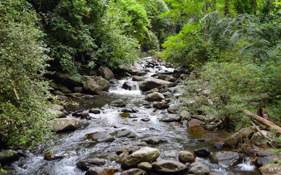 From Hua Hin: Pala U Waterfall and Huay Mongkol Temple Tour - Why Kaeng Krachan and Huay Mongkol make this a great 7-hour escape