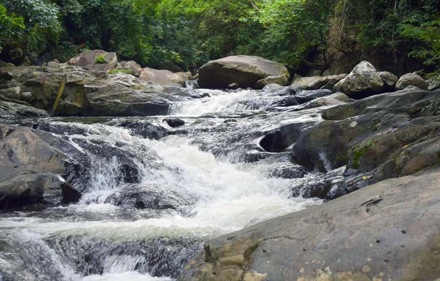 From Hua Hin: Pala U Waterfall and Huay Mongkol Temple Tour - Swim time at the third level, plus feeding fish at the pool